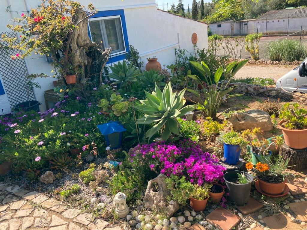 알부페이라 Casa Aleg 빌라 외부 사진